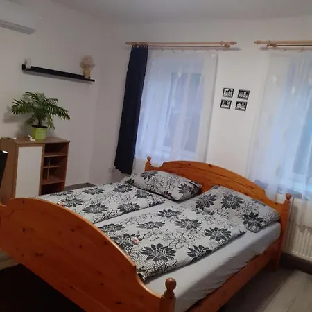 Oazis * Sarospatak