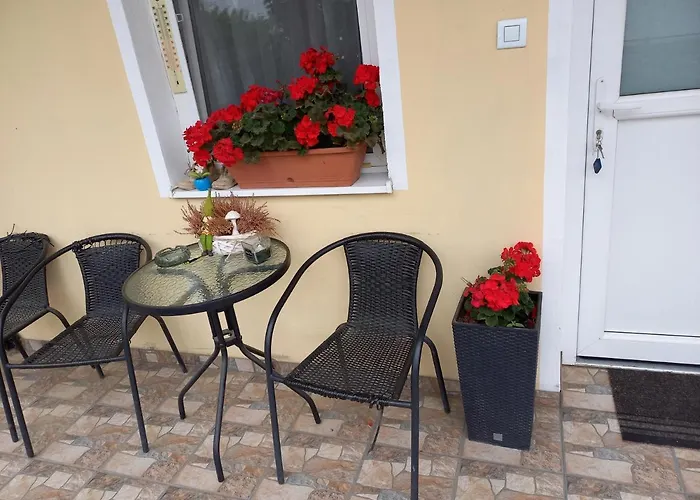 Oazis Apartament *